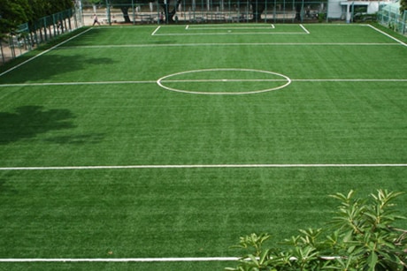 Artificial Grass and Synthetic Turf Sport Field