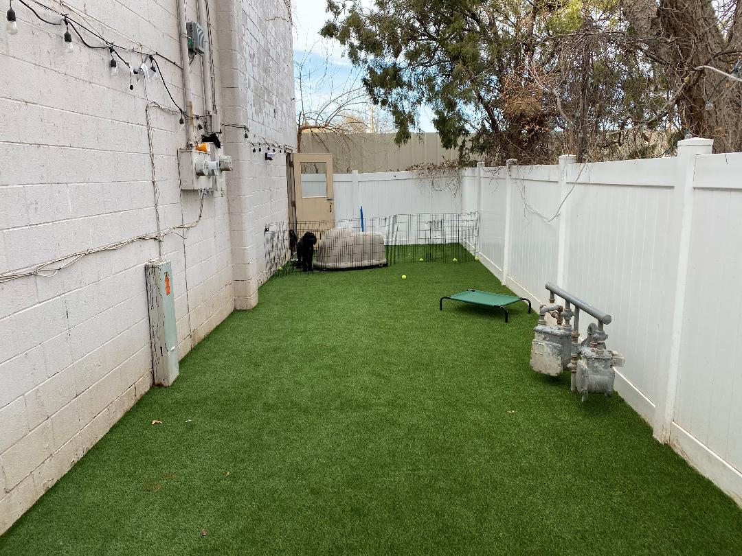 Remodel Office Artificial Grass