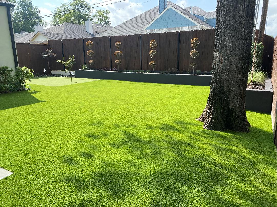 Low Maintenance Lawn