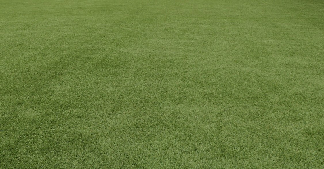 Synthetic Turf Rooftop Dog Park