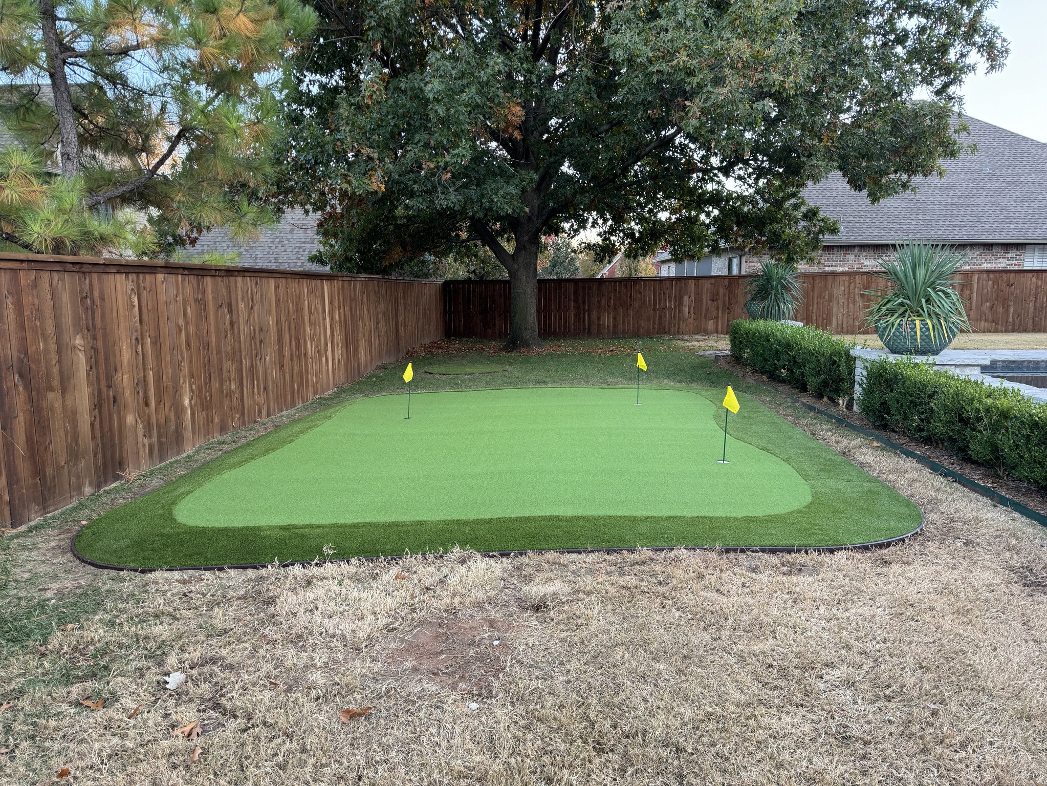 Synthetic Turf Putting