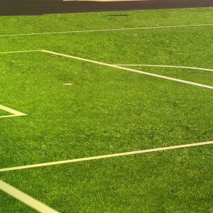 Outdoor Sports Turf