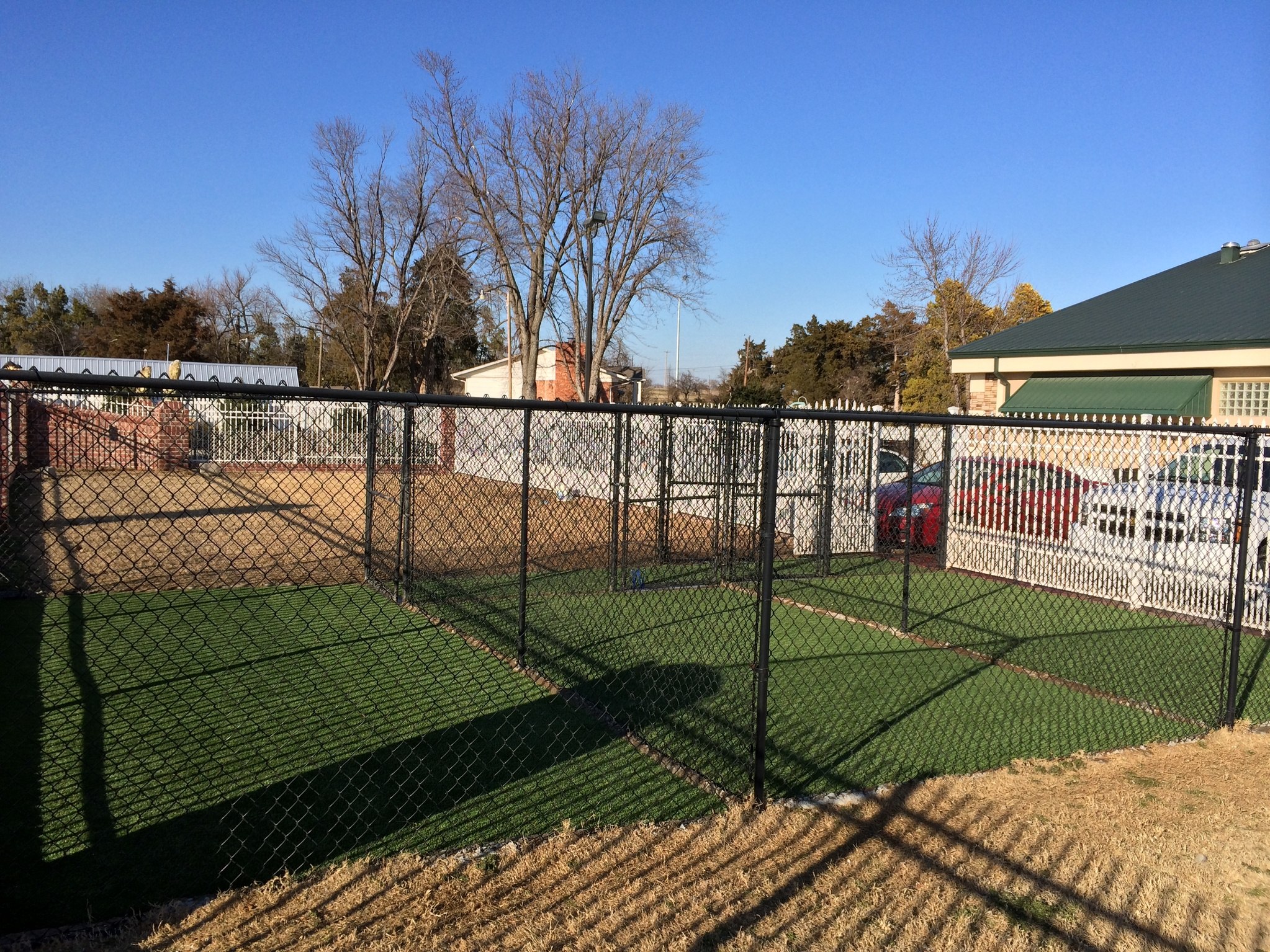 Purchase Dog Grass for your Dog Park