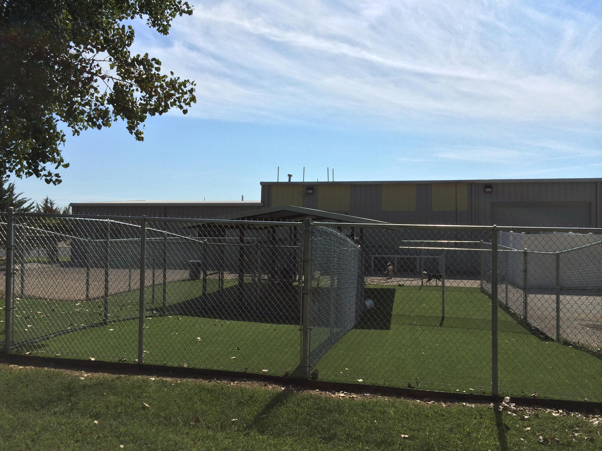 K9 Artificial Grass