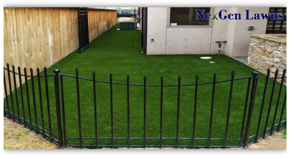 outdoor turf dogs solves messy lawn problems