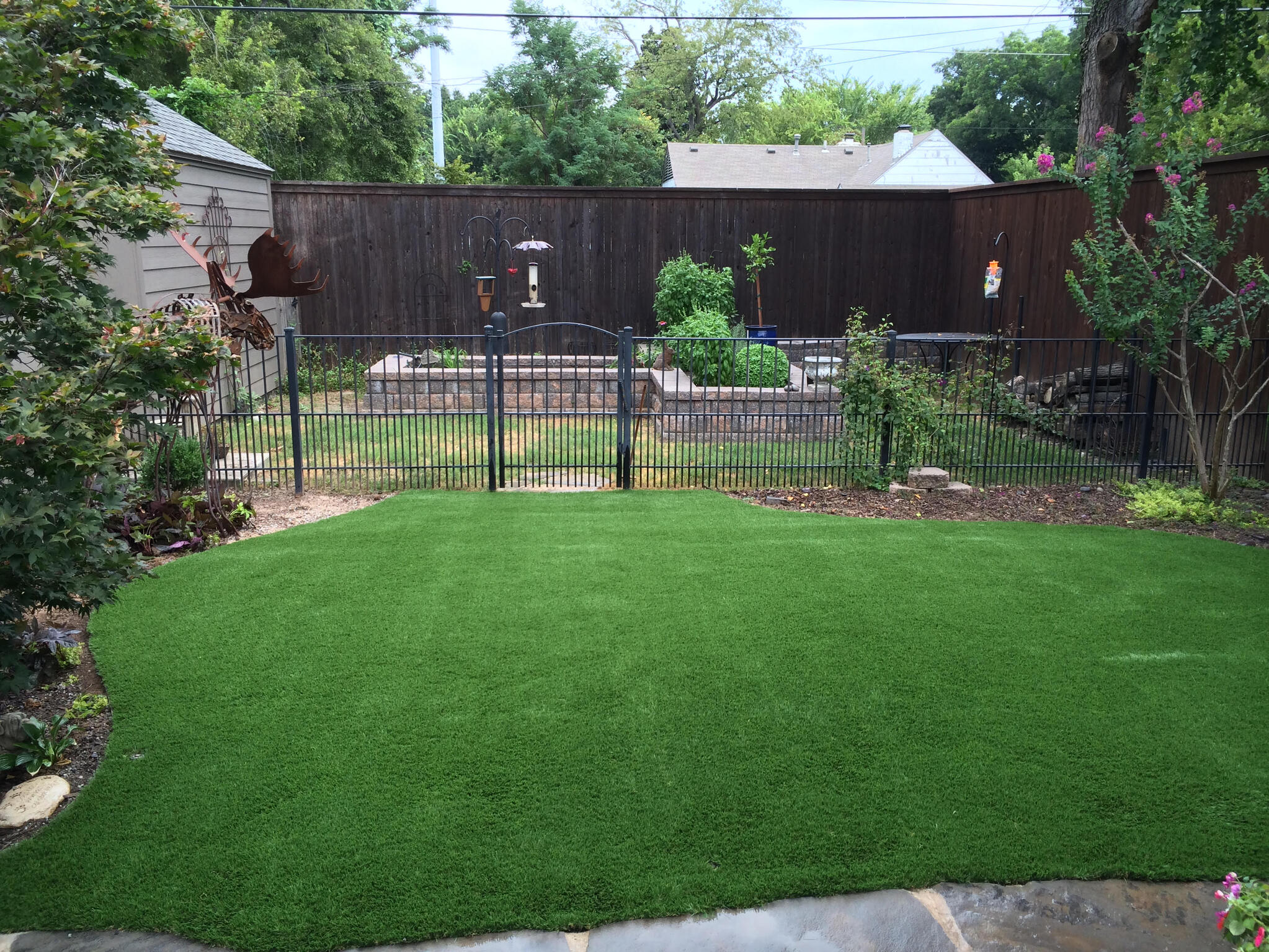 outdoor turf dogs