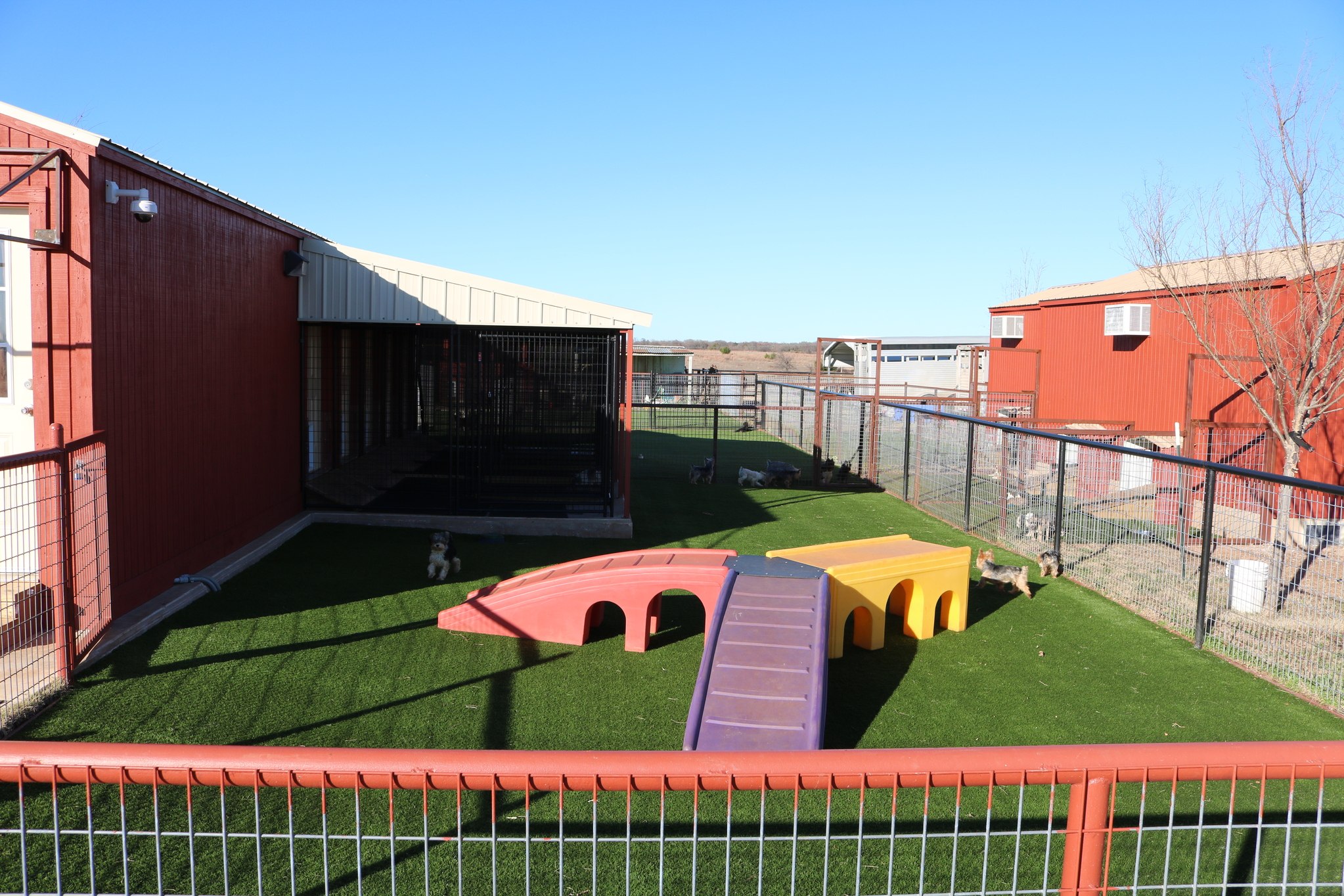 dog kennel grass