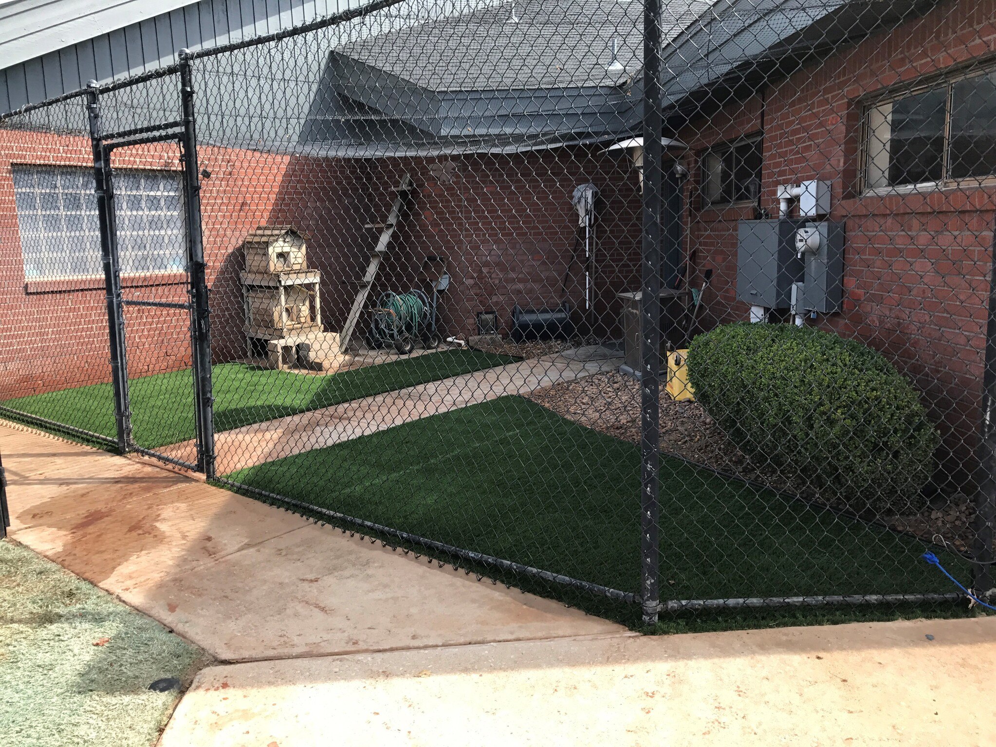 dog potty turf