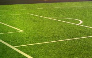 Synthetic Turf Schaumburg for Athletic Fields